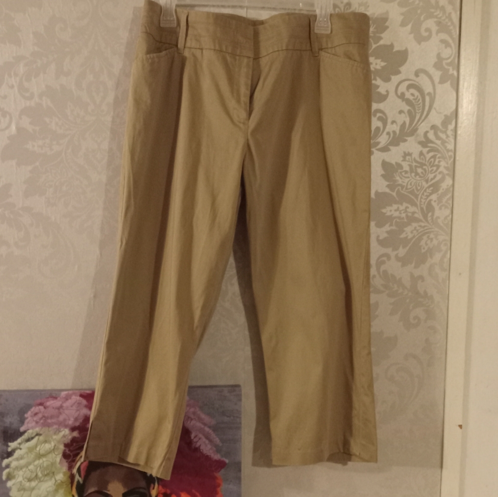 Tribal Studio Cropped Pants 12